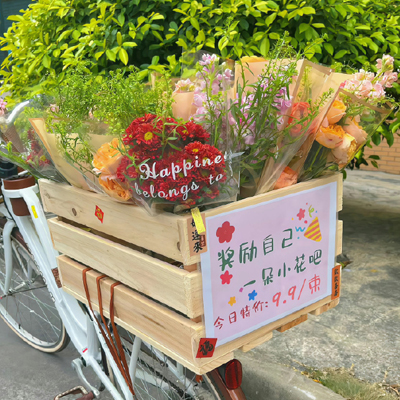 鲤道宠物知识